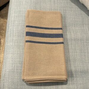 Tan and Blue Striped Napkins Set